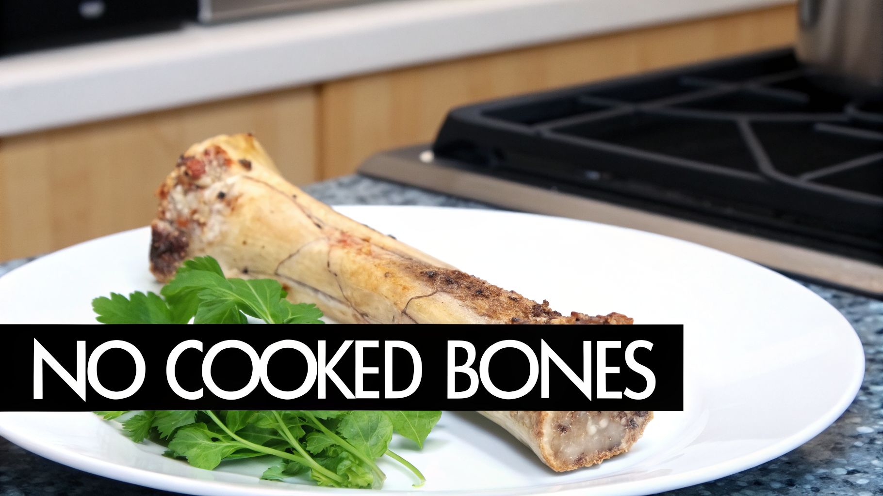 A cooked bone with herbs on a white plate, with the text 'NO COOKED BONES' overlaid.