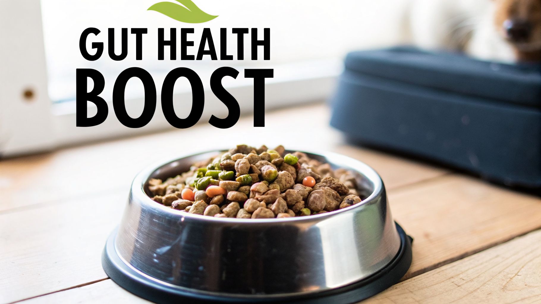 A close-up of a metal dog bowl filled with various types of kibble, promoting 'GUT HEALTH BOOST'.