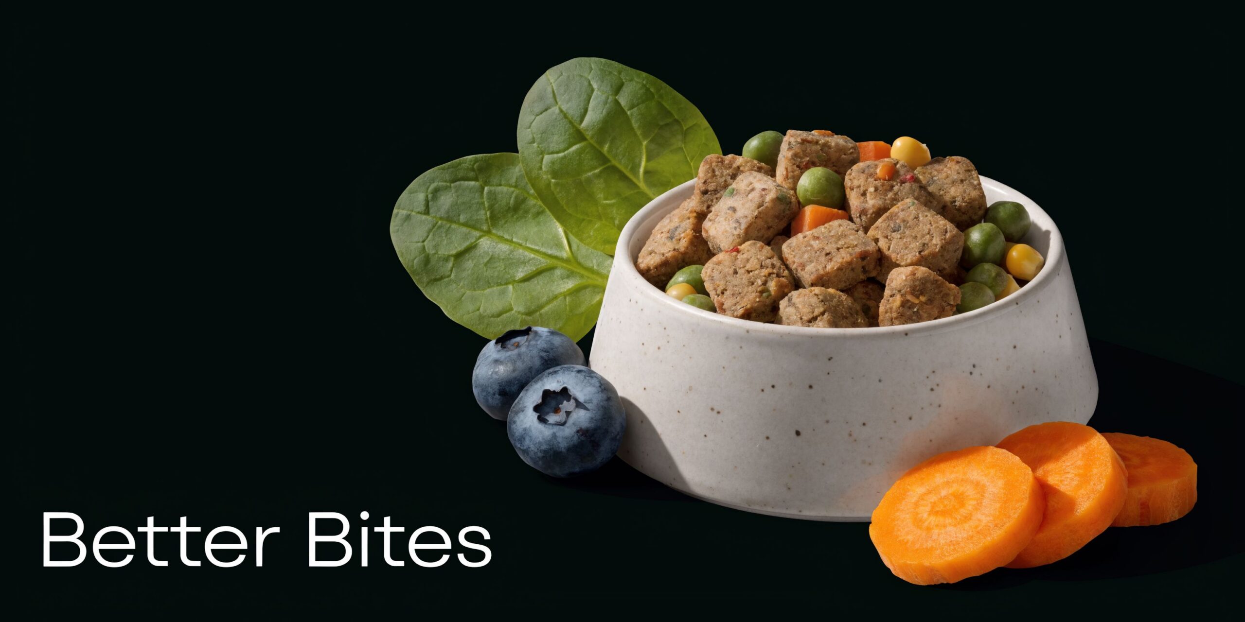 A ceramic bowl filled with nutritious dog food featuring meat chunks, blueberries, peas, carrots, and spinach leaves.