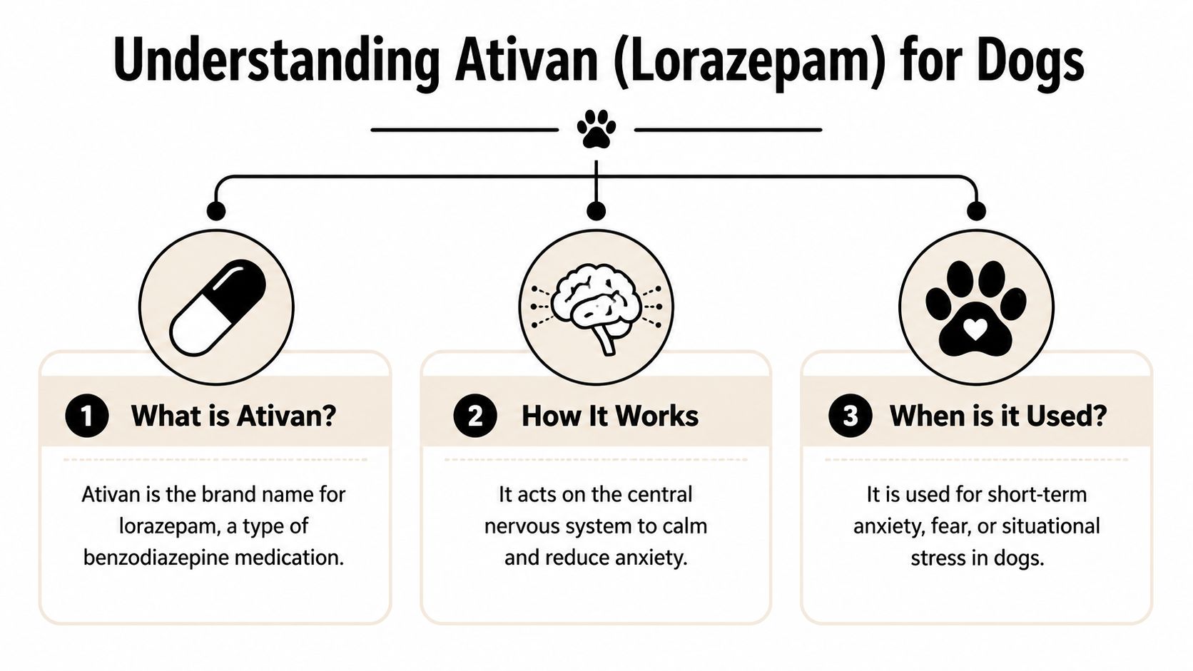 An infographic titled Understanding Ativan for Dogs explaining what the medication is, how it works, and its uses.