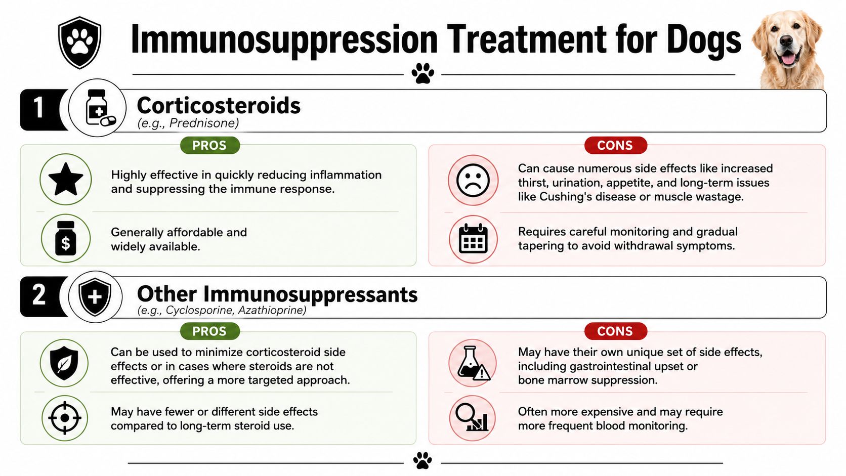 An infographic detailing immunosuppressant treatments for dogs, comparing corticosteroids with other immunosuppressive medication options for veterinary care.