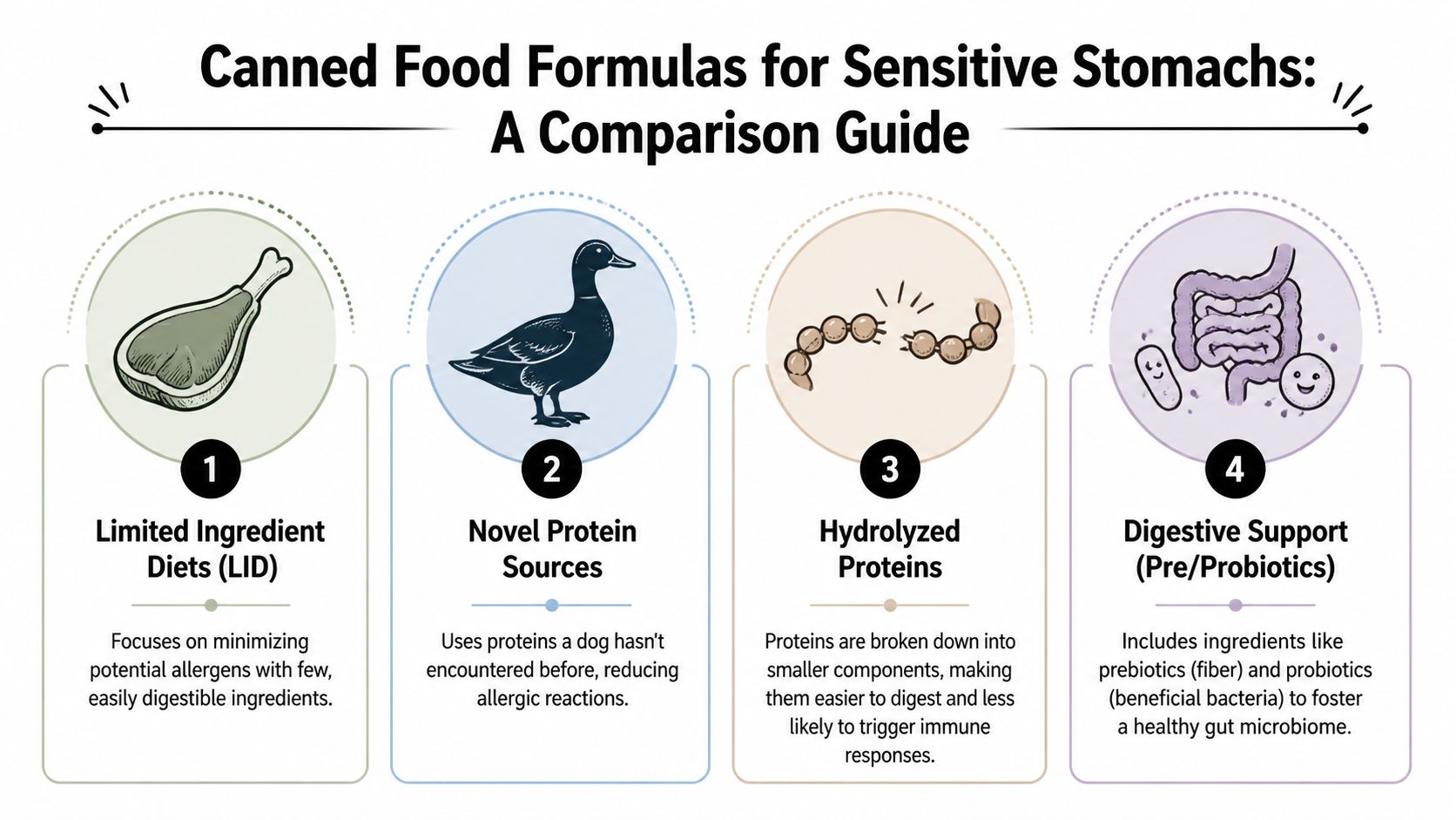 A comparison guide for canned dog food formulas for sensitive stomachs illustrating four key dietary approaches.