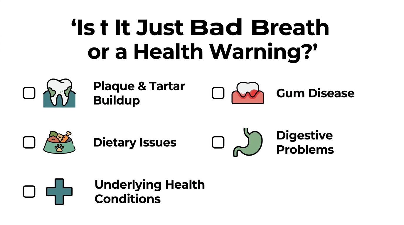 A graphic illustration listing potential health causes for bad breath in pets like dental issues or illness.