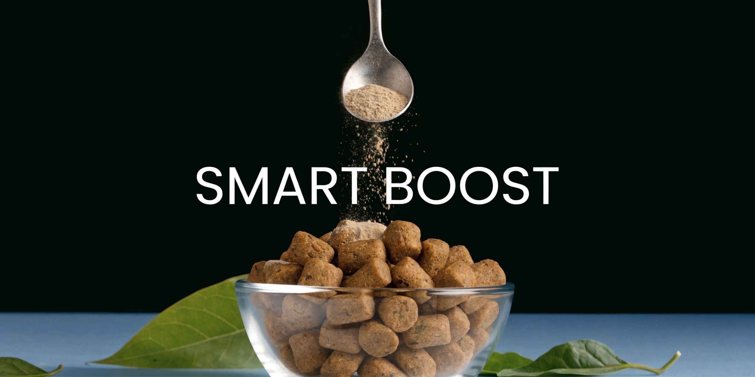 A spoonful of nutritional powder being sprinkled over a glass bowl filled with dry dog food kibble