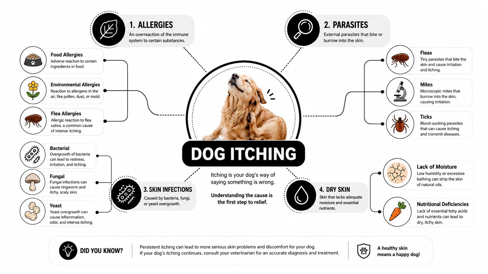 An infographic showing the common causes of dog itching including allergies, parasites, infections, and dry skin.