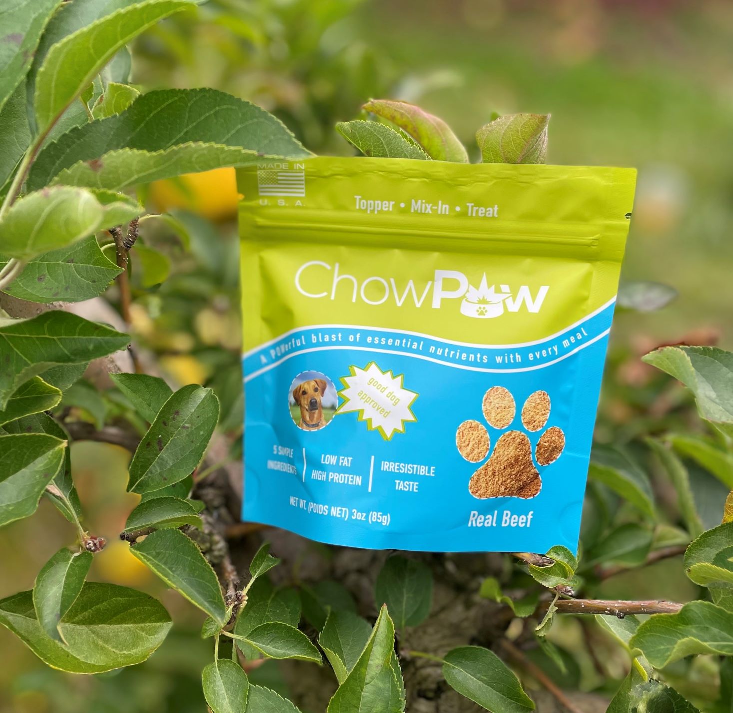 chowpow - a deydrated beef heart meat powder for dogs