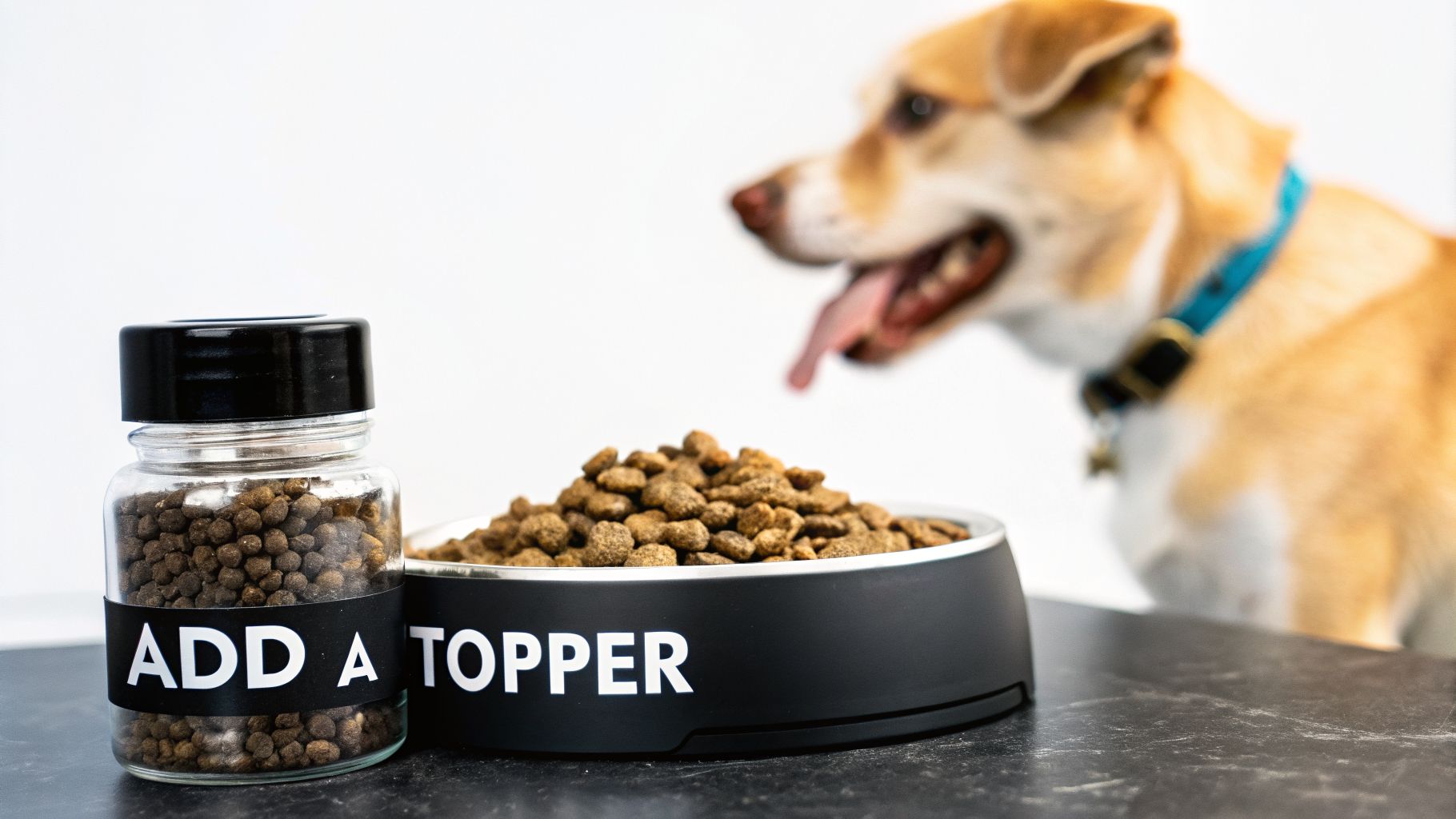 A happy dog looks excitedly at a bowl of kibble and a jar of dog food topper.