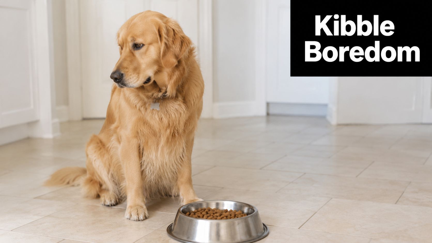 A golden retriever sitting on a tiled floor looking away from a full bowl of kibble.