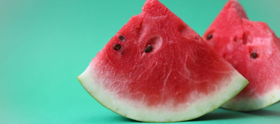 watermelon for dogs