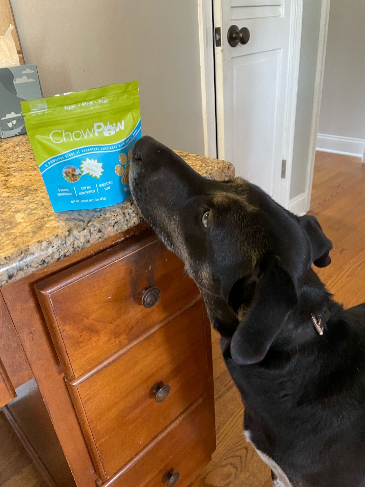 ChowPow - Adding Enhancement to your dogs diet